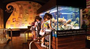 Descrição da imagem: A direita, crianças observando aquário. Na parte inferior escrito: Parecem plantas, mas são animais... Conheça estes e outros organismos marinhos incríveis. Ao fundo, painel escrito: Origem única da vida. 