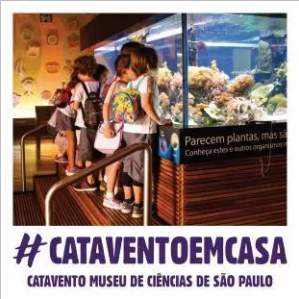 Foto do aquário do Museu Catavento com várias crianças em volta. Na parte inferior da foto escrito: #CataventoEmCasa