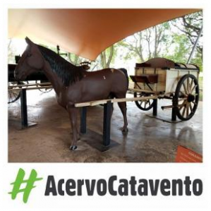 Na foto uma carroça coletora de lixo ligada a um cavalo cenográfico. Na parte inferior da foto escrito: #AcervoCatavento