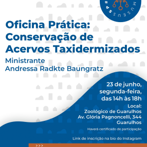 card branco com letras azuis