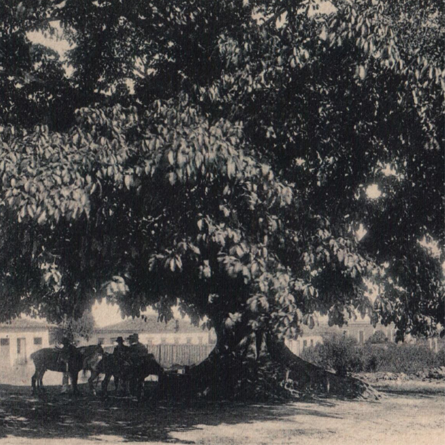 Image removed.