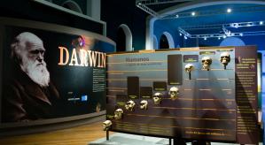 Área de Darwin