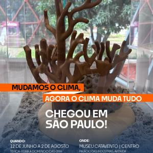 Imagem de um coral seco